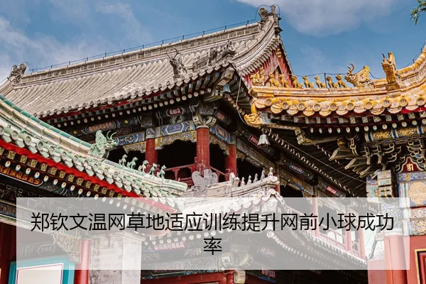zheng-qin-wen-wen-wang-cao-di-shi-ying-xun-lian-ti-sheng-wang-qian-xiao-qiu-cheng-gong-lv-3-763.jpg