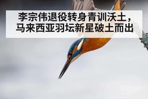 李宗伟退役转身青训沃土，马来西亚羽坛新星破土而出